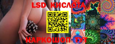 ECSTASY Гудермес