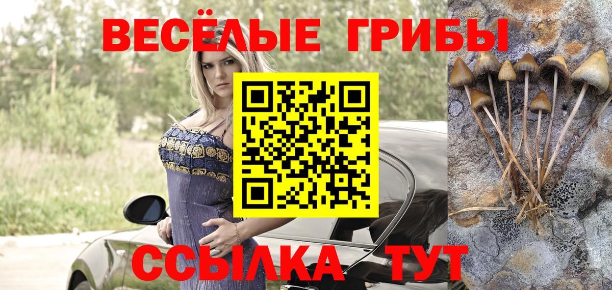 Галлюциногенные грибы GOLDEN TEACHER Ейск